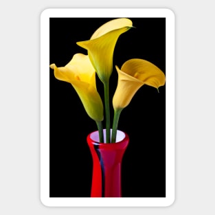 Three Yellow Calla Lililes Sticker